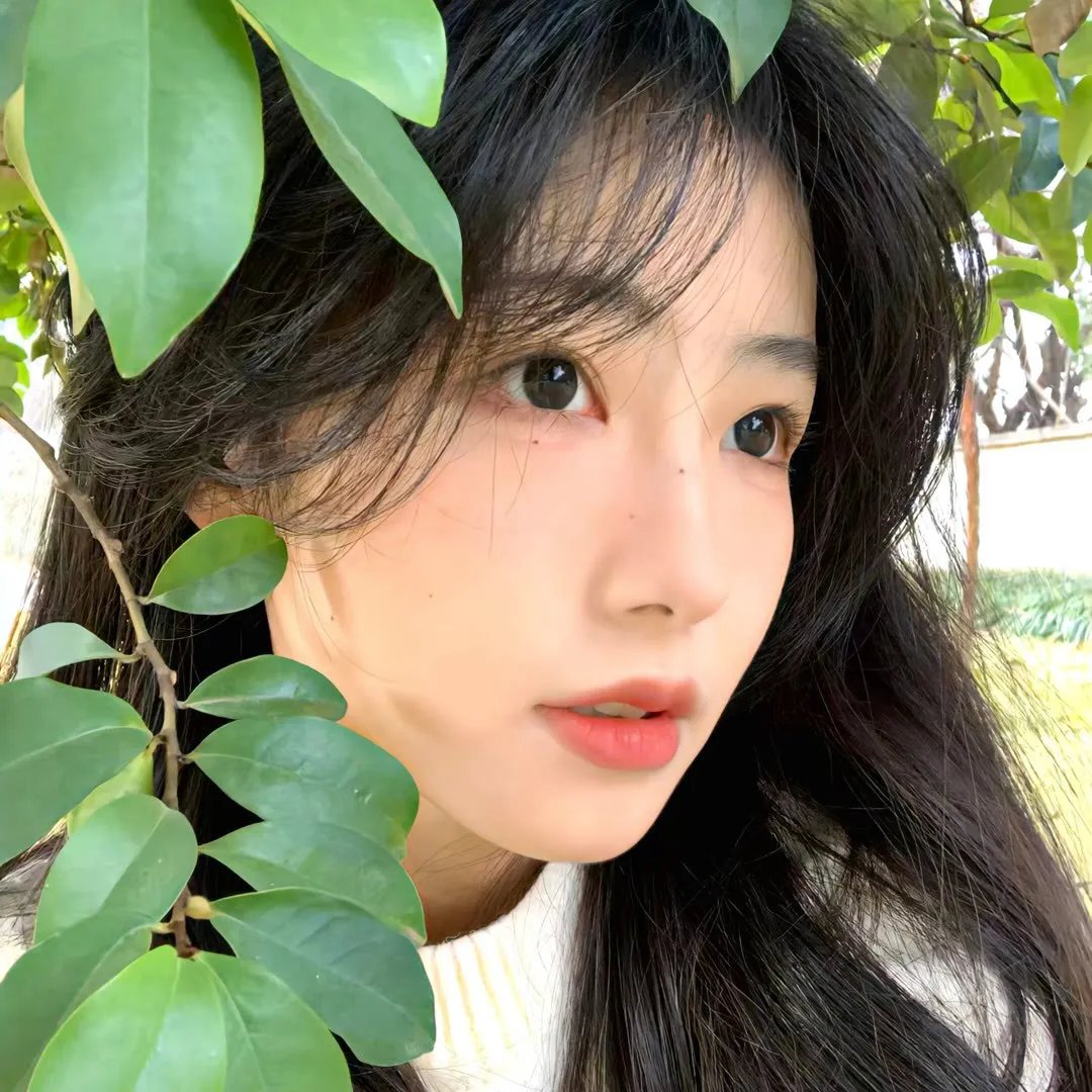 月亮的后裔