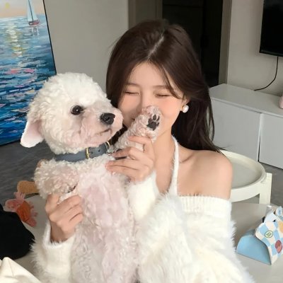 霍家拳之铁臂娇娃2